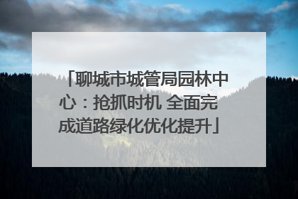 聊城市城管局园林中心：抢抓时机 全面完成道路绿化优化提升