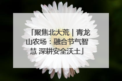 聚焦北大荒｜青龙山农场：融合节气智慧 深耕安全沃土