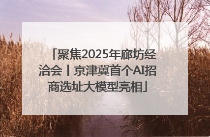 聚焦2025年廊坊经洽会丨京津冀首个AI招商选址大模型亮相