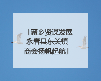 聚乡贤谋发展 永春县东关镇商会扬帆起航