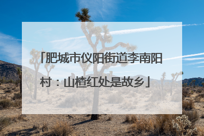 肥城市仪阳街道李南阳村：山楂红处是故乡