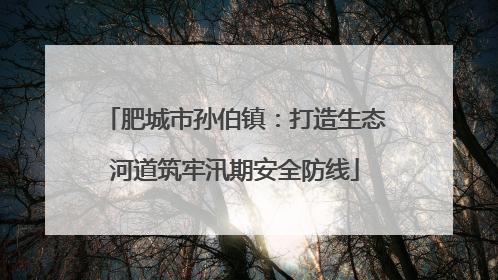 肥城市孙伯镇：打造生态河道筑牢汛期安全防线