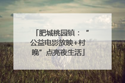 肥城桃园镇：“公益电影放映+村晚”点亮夜生活