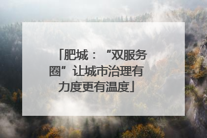 肥城：“双服务圈”让城市治理有力度更有温度