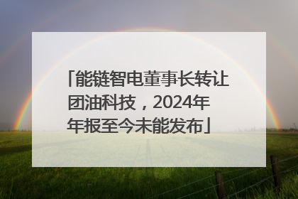 能链智电董事长转让团油科技，2024年年报至今未能发布