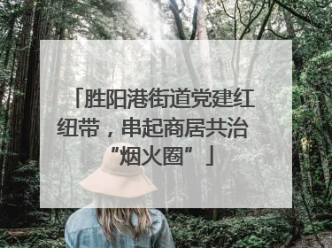 胜阳港街道党建红纽带，串起商居共治 “烟火圈”