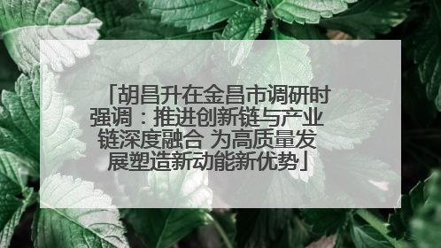 胡昌升在金昌市调研时强调：推进创新链与产业链深度融合 为高质量发展塑造新动能新优势