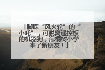 脚踩“风火轮”的“小吒”，可脱离遥控板的机器狗，泡桐树小学来了新朋友！