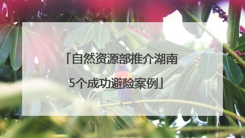 自然资源部推介湖南5个成功避险案例
