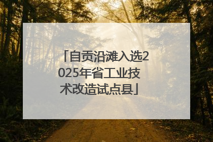 自贡沿滩入选2025年省工业技术改造试点县