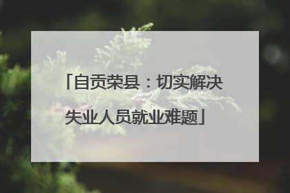 自贡荣县：切实解决失业人员就业难题