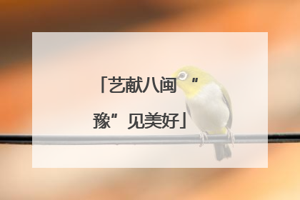 艺献八闽 “豫”见美好