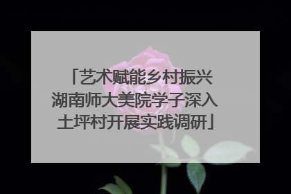 艺术赋能乡村振兴 湖南师大美院学子深入土坪村开展实践调研