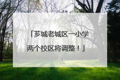 芗城老城区一小学两个校区将调整！