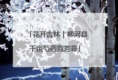 花开吉林｜柳河县千亩芍药竞芳菲