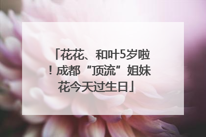 花花、和叶5岁啦！成都“顶流”姐妹花今天过生日