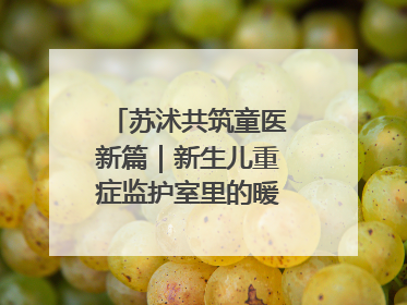 苏沭共筑童医新篇｜新生儿重症监护室里的暖心“袋鼠抱”