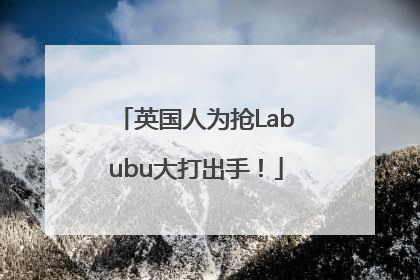 英国人为抢Labubu大打出手！
