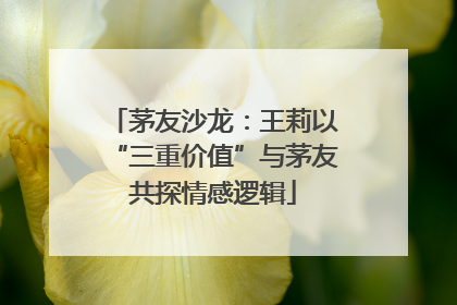 茅友沙龙：王莉以“三重价值”与茅友共探情感逻辑