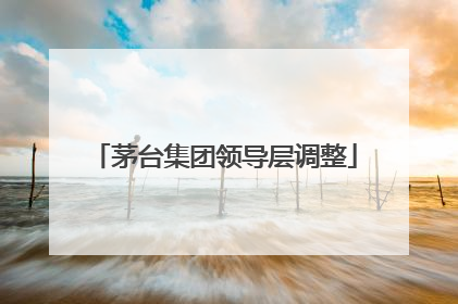茅台集团领导层调整