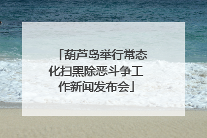 葫芦岛举行常态化扫黑除恶斗争工作新闻发布会