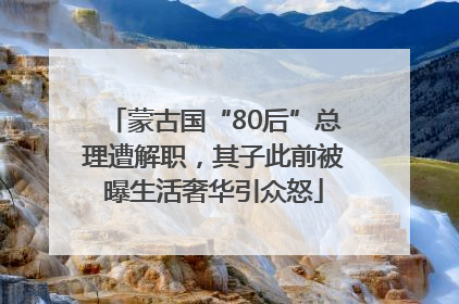 蒙古国“80后”总理遭解职，其子此前被曝生活奢华引众怒