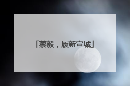 蔡毅，履新宣城