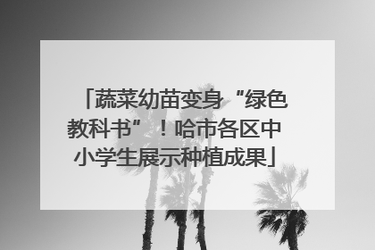 蔬菜幼苗变身“绿色教科书”！哈市各区中小学生展示种植成果