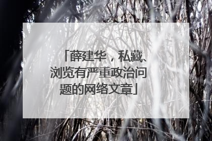 薛建华，私藏、浏览有严重政治问题的网络文章