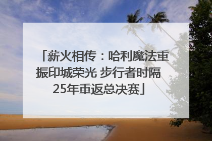 薪火相传：哈利魔法重振印城荣光 步行者时隔25年重返总决赛