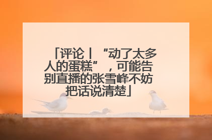 评论丨“动了太多人的蛋糕”，可能告别直播的张雪峰不妨把话说清楚