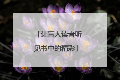 让盲人读者听见书中的精彩