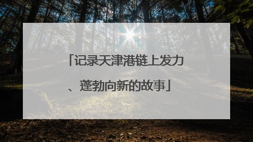 记录天津港链上发力、蓬勃向新的故事