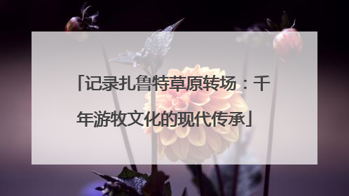 记录扎鲁特草原转场：千年游牧文化的现代传承