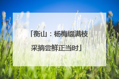 衡山：杨梅缀满枝 采摘尝鲜正当时