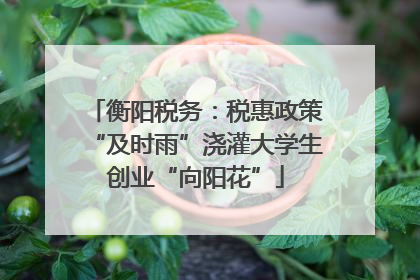 衡阳税务：税惠政策“及时雨”浇灌大学生创业“向阳花”