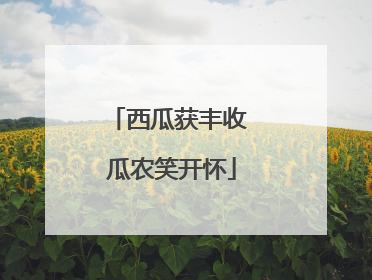 西瓜获丰收 瓜农笑开怀