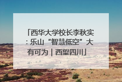 西华大学校长李秋实：乐山“智慧低空”大有可为｜西望四川