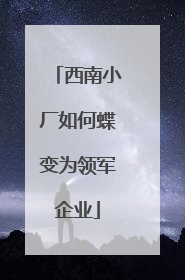 西南小厂如何蝶变为领军企业