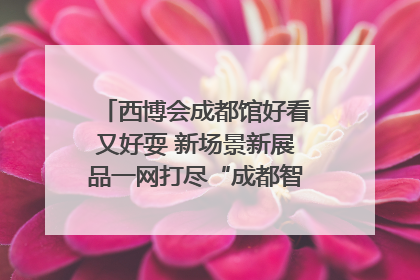 西博会成都馆好看又好耍 新场景新展品一网打尽“成都智造”｜西博视界