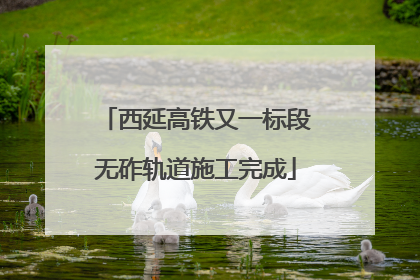 西延高铁又一标段无砟轨道施工完成
