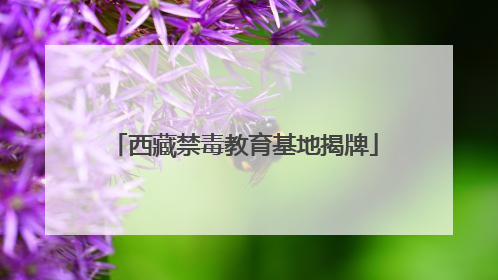 西藏禁毒教育基地揭牌