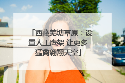 西藏羌塘草原：设置人工鹰架 让更多猛禽翱翔天空