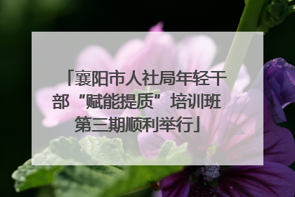 襄阳市人社局年轻干部“赋能提质”培训班第三期顺利举行