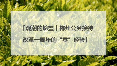观潮的螃蟹丨郴州公务接待改革一周年的“零”经验