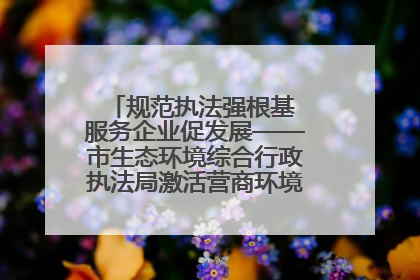 规范执法强根基 服务企业促发展——市生态环境综合行政执法局激活营商环境“绿色动能”