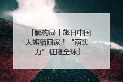 解构局丨旅日中国大熊猫回家！“萌实力”征服全球