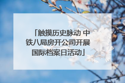 触摸历史脉动 中铁八局房开公司开展国际档案日活动