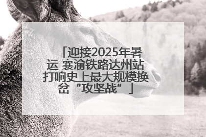 迎接2025年暑运 襄渝铁路达州站打响史上最大规模换岔“攻坚战”