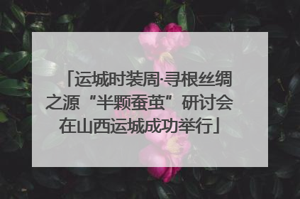 运城时装周·寻根丝绸之源“半颗蚕茧”研讨会在山西运城成功举行